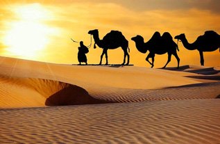 Rajasthan